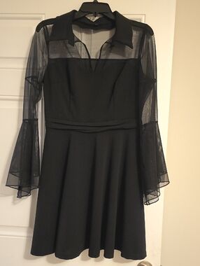 Sheer-Sleeve Black Fit & Flare Dress